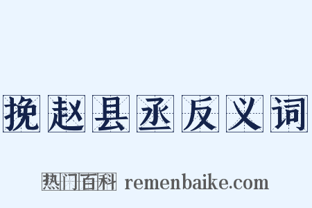 挽赵县丞反义词是什么意思的图片